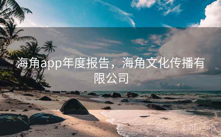 海角app年度报告，海角文化传播有限公司