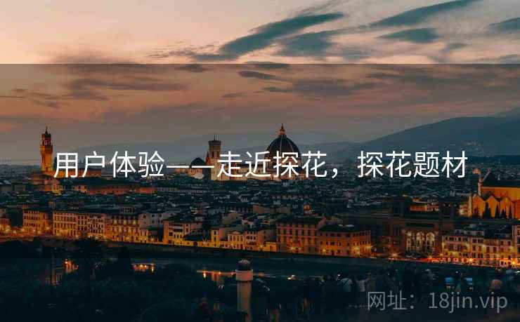 用户体验——走近探花，探花题材