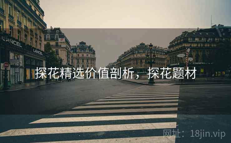 探花精选价值剖析，探花题材