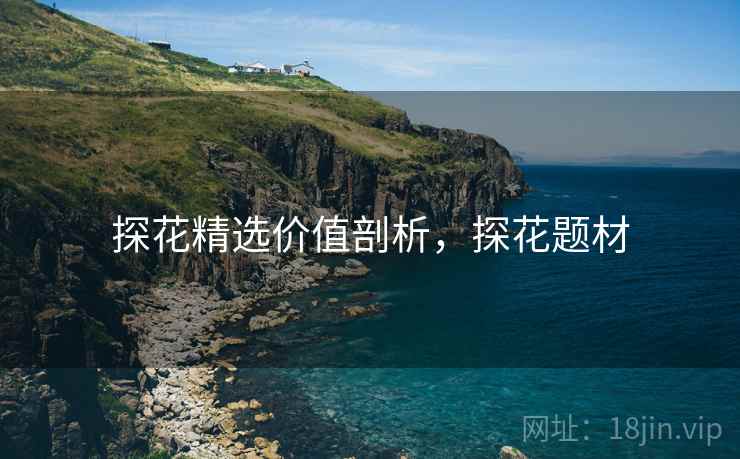 探花精选价值剖析，探花题材
