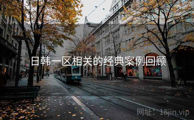 日韩一区相关的经典案例回顾