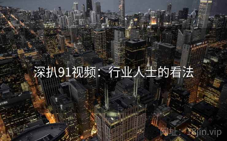 深扒91视频：行业人士的看法