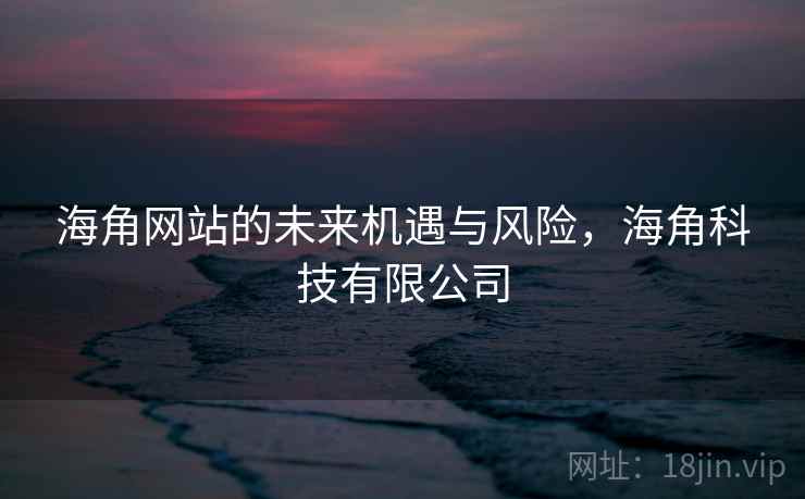 海角网站的未来机遇与风险，海角科技有限公司
