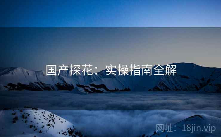 国产探花：实操指南全解