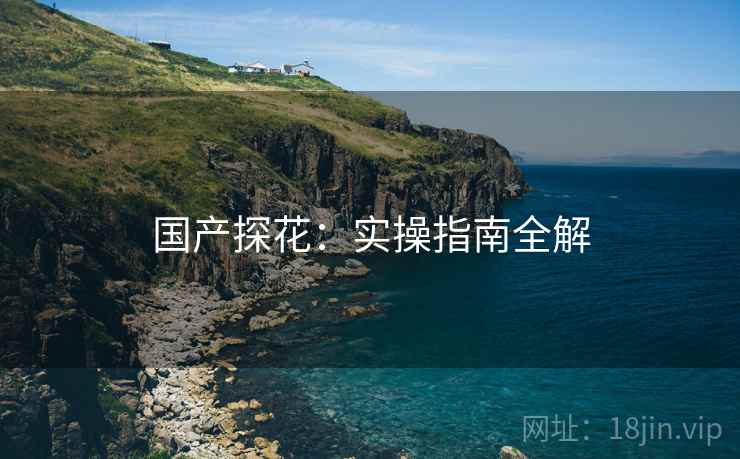 国产探花：实操指南全解
