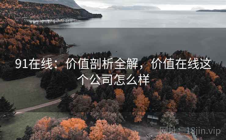 91在线：价值剖析全解，价值在线这个公司怎么样