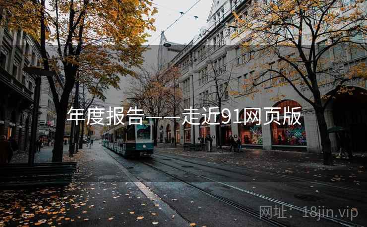 年度报告——走近91网页版