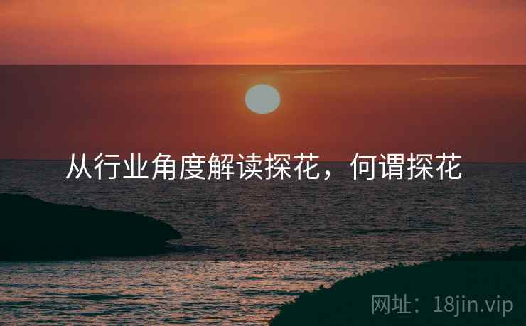 从行业角度解读探花，何谓探花