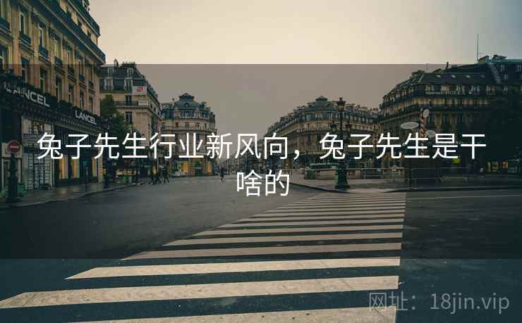 兔子先生行业新风向，兔子先生是干啥的