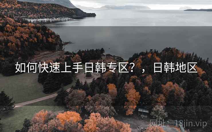 如何快速上手日韩专区？，日韩地区
