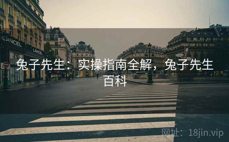 兔子先生：实操指南全解，兔子先生百科