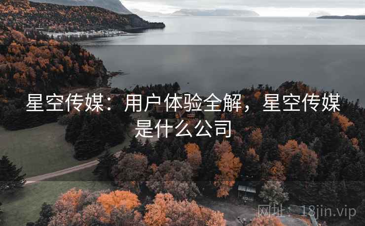 星空传媒：用户体验全解，星空传媒是什么公司