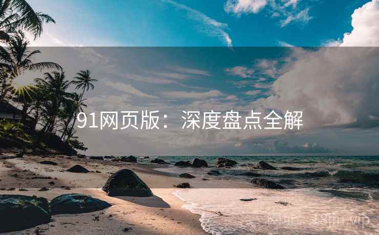 91网页版：深度盘点全解