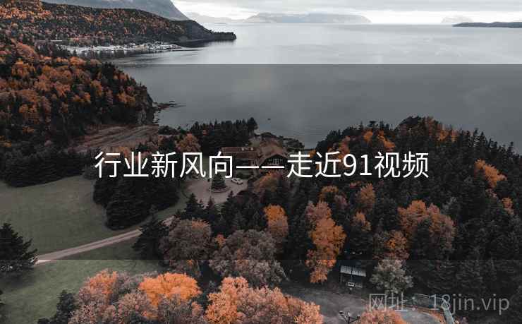 行业新风向——走近91视频