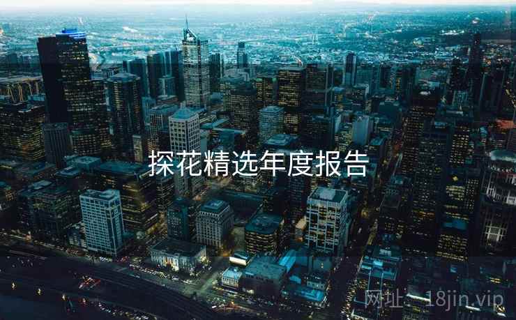 探花精选年度报告