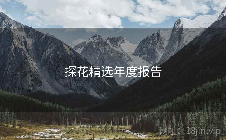 探花精选年度报告