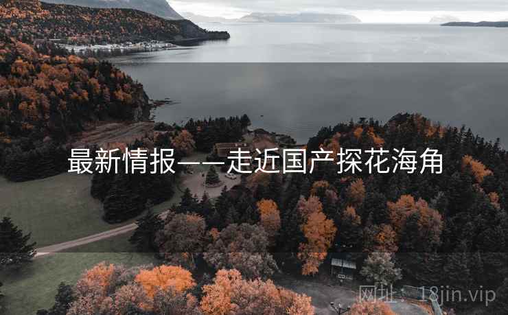 最新情报——走近国产探花海角