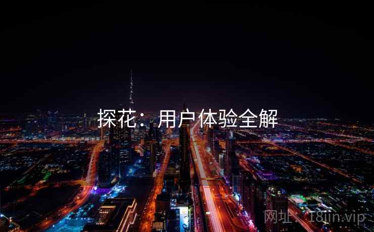 探花：用户体验全解