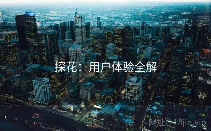 探花：用户体验全解