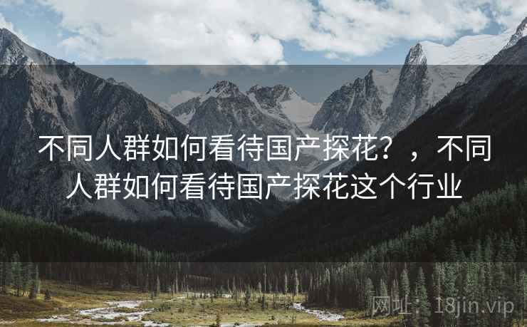 不同人群如何看待国产探花？，不同人群如何看待国产探花这个行业