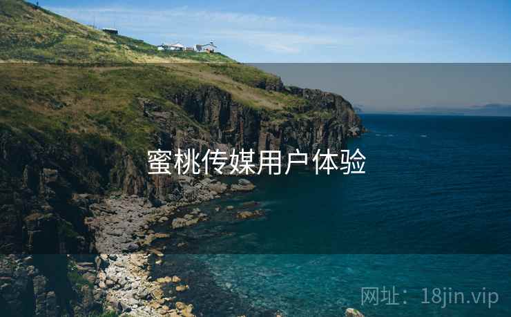 蜜桃传媒用户体验