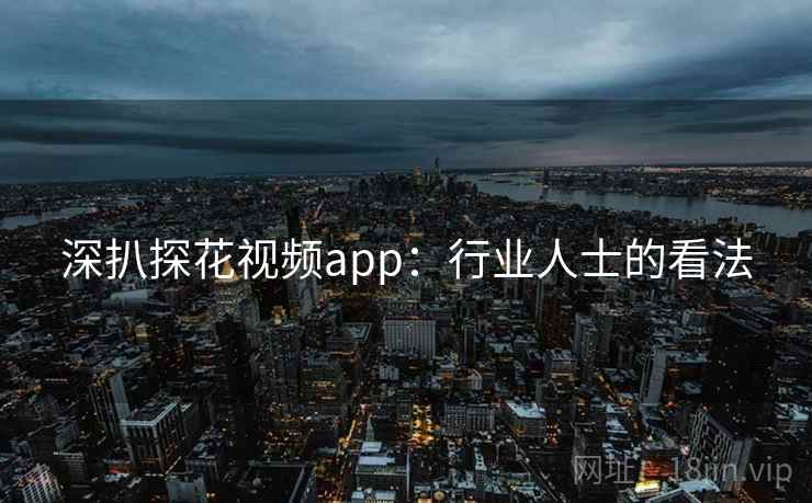 深扒探花视频app：行业人士的看法