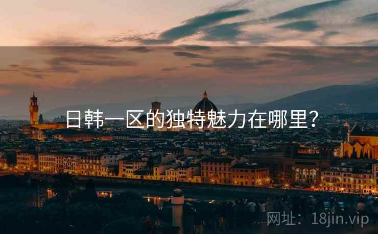 日韩一区的独特魅力在哪里？