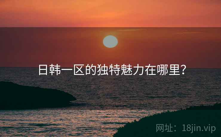 日韩一区的独特魅力在哪里？