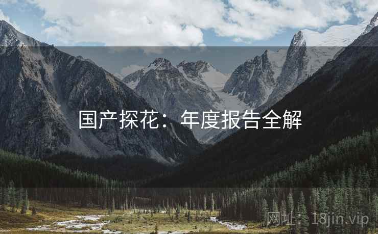 国产探花：年度报告全解
