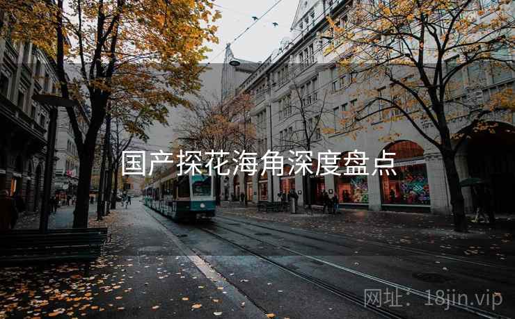 国产探花海角深度盘点