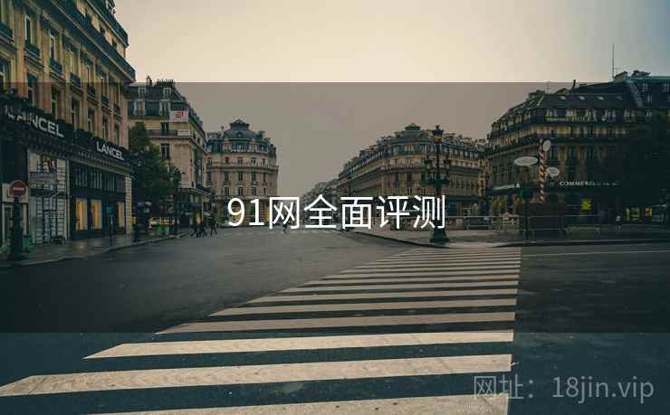 91网全面评测