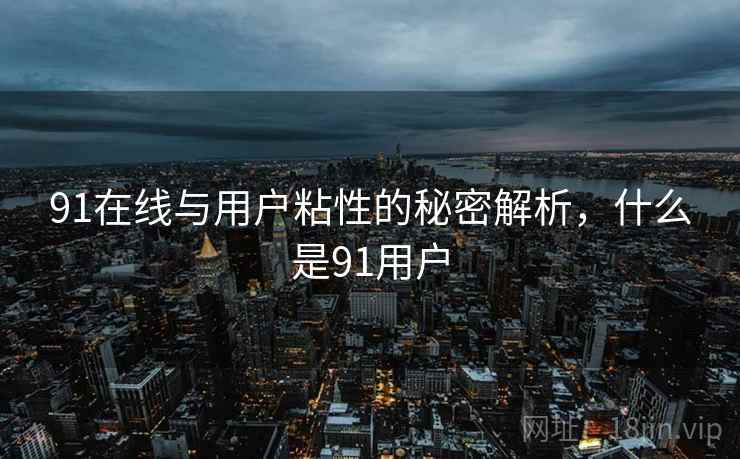91在线与用户粘性的秘密解析，什么是91用户