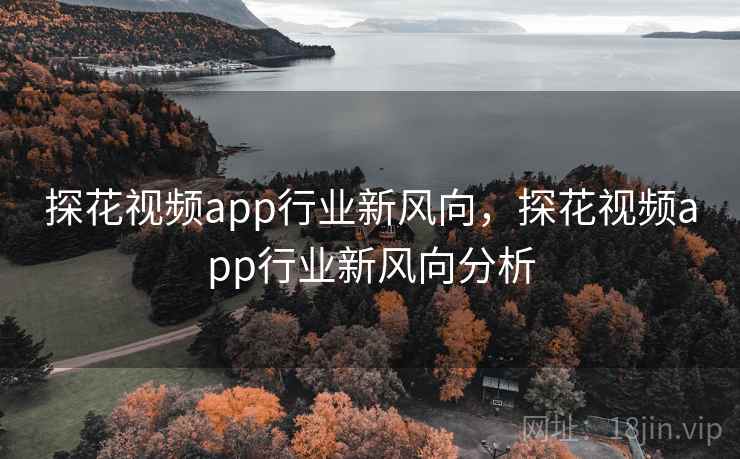 探花视频app行业新风向，探花视频app行业新风向分析