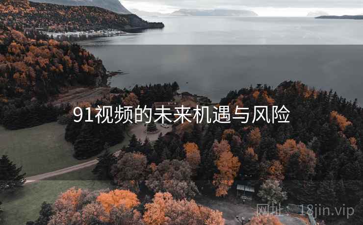 91视频的未来机遇与风险