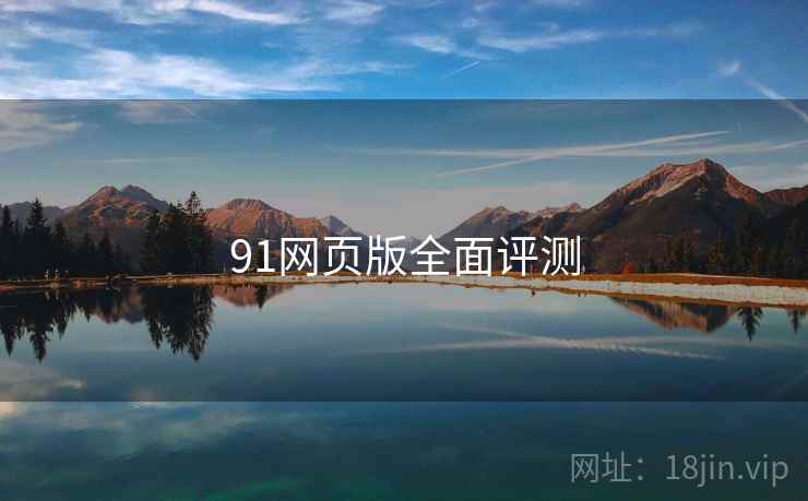 91网页版全面评测