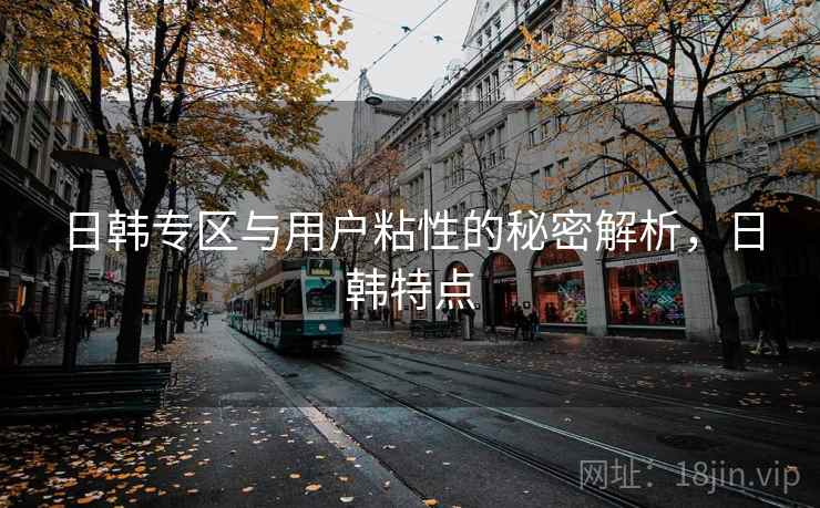 日韩专区与用户粘性的秘密解析，日韩特点