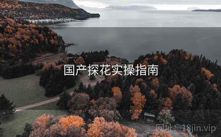 国产探花实操指南