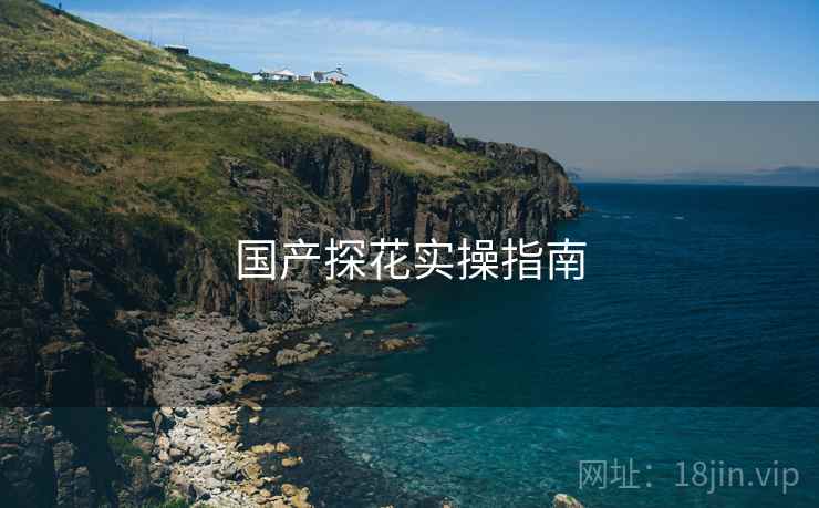 国产探花实操指南