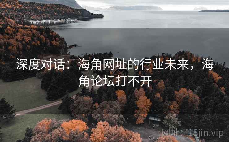 深度对话：海角网址的行业未来，海角论坛打不开