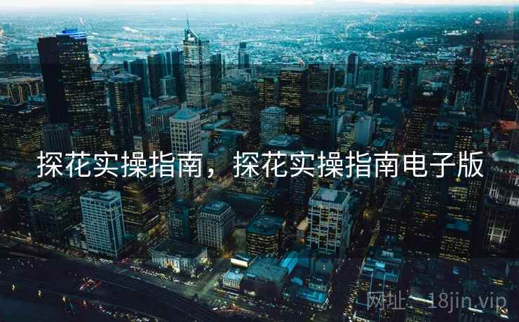 探花实操指南，探花实操指南电子版