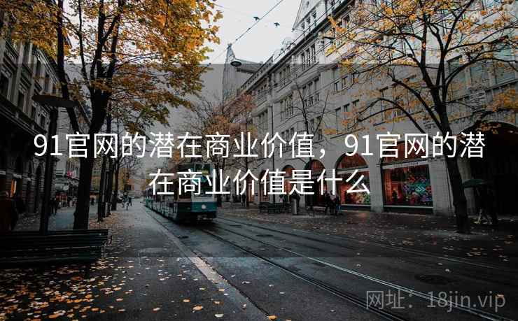 91官网的潜在商业价值，91官网的潜在商业价值是什么