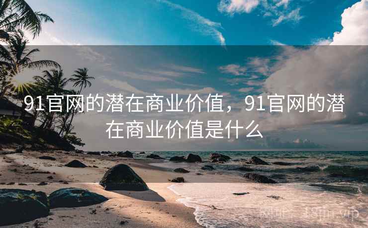 91官网的潜在商业价值，91官网的潜在商业价值是什么